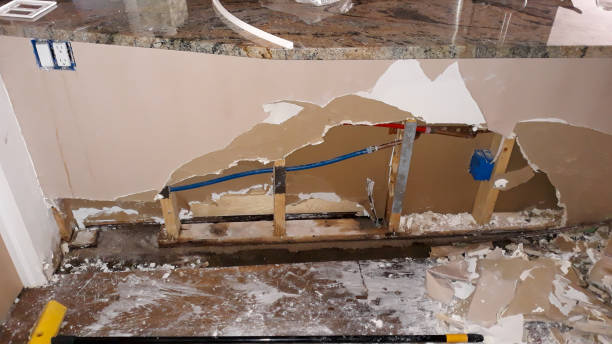 Best Professional water damage repair  in Pine Brook, NJ